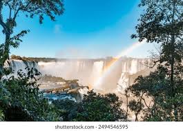Beware of These Dangerous Insects and Spiders at Iguazú National Park